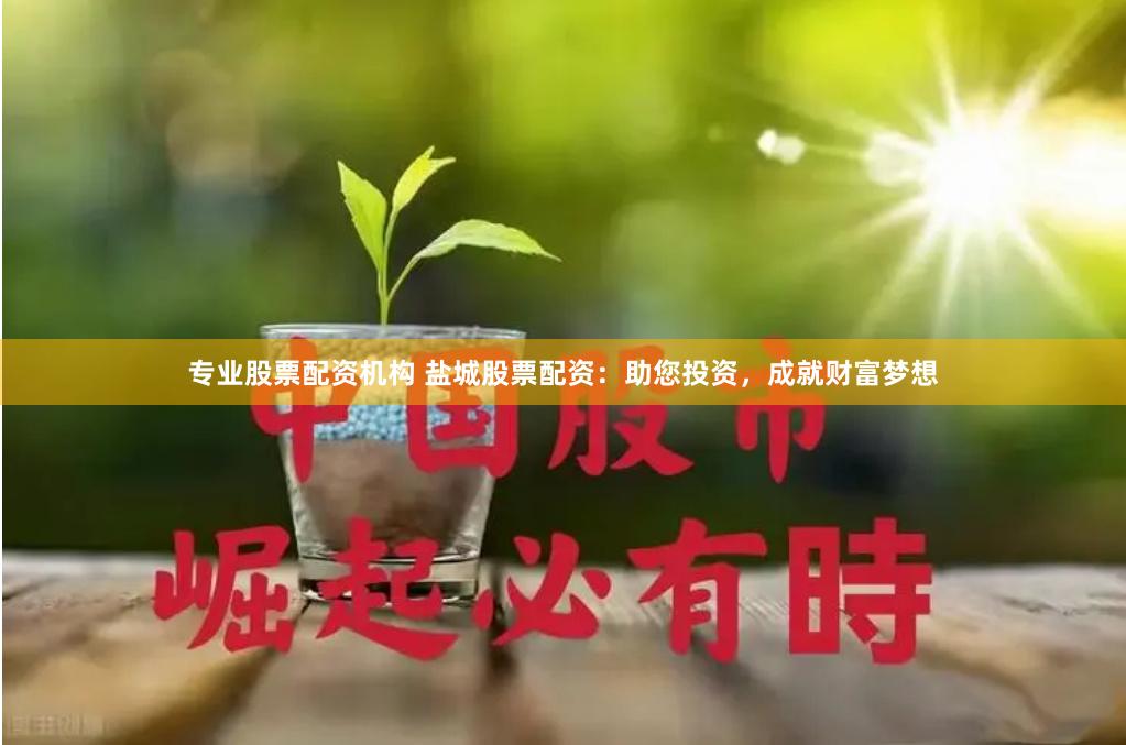 专业股票配资机构 盐城股票配资：助您投资，成就财富梦想