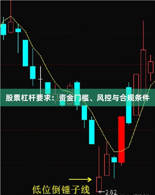 股票杠杆要求：资金门槛、风控与合规条件