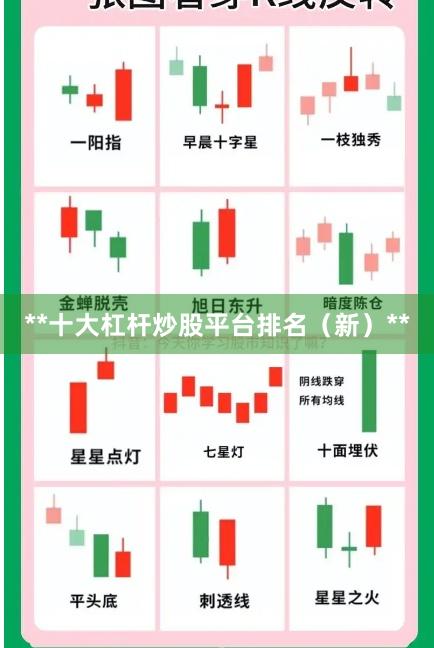 **十大杠杆炒股平台排名（新）**